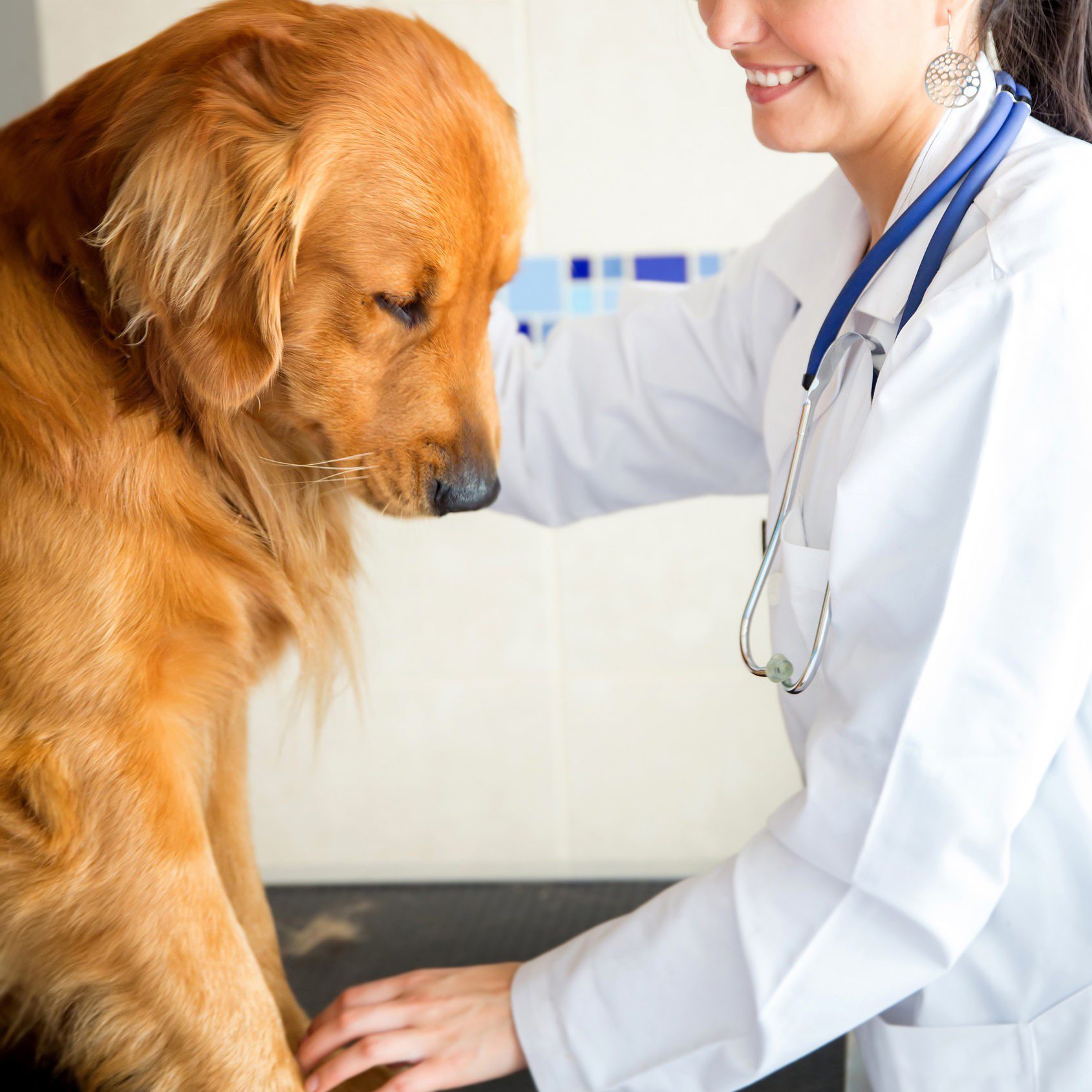 Dr. Betty Smith